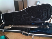 greyson guitar and  case