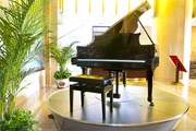 Hiring Digital & Grand Pianos Only at Broughton Pianos,  UK!